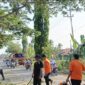 Petugas BPBD Tanah Bumbu saat melakukan pembersihan terhadap pohon tumbang yang sempat menutup ruas jalan provinsi. Foto : Mc Tanbu